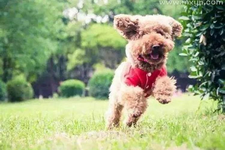三月十五在佛教中是什么法会 在静觉寺