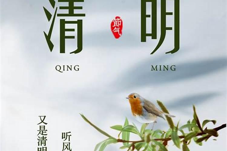 清明节的习俗有哪些？