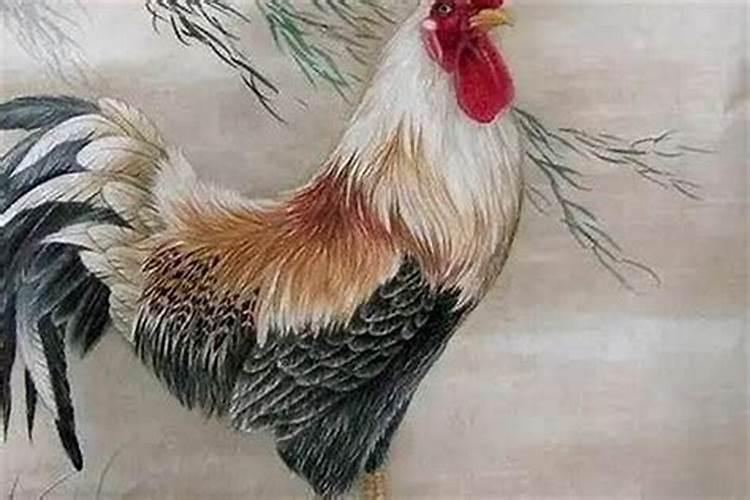 81年农历八月属鸡命运如何 八月出生属鸡人一生荣华富贵？