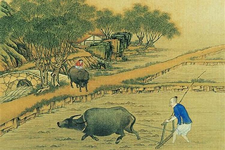 八字测算你适合从事什么行业