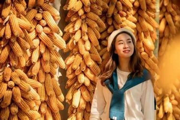 77年属蛇女人2025年每月运势运程