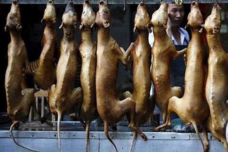 夏至狗肉节是什么意思？