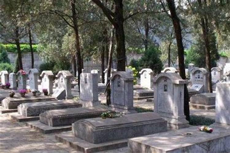梦见墓地有死人是什么意思