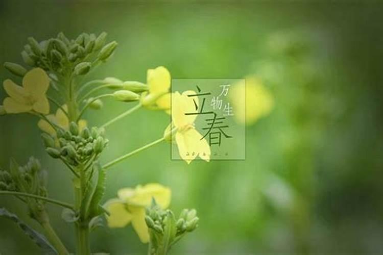 立春立夏立秋立冬是什么意思