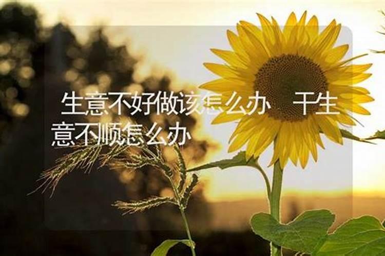重阳节为什么叫老人节