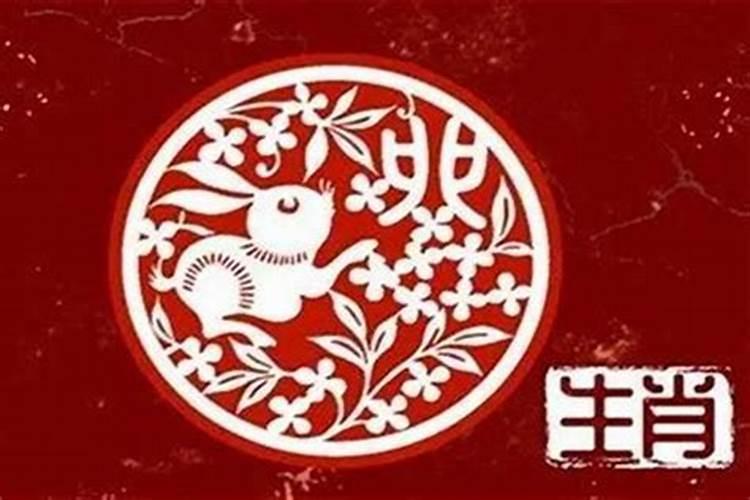 梦见自己生了女孩是什么预兆