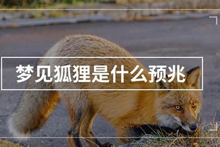 梦见生女孩预示什么