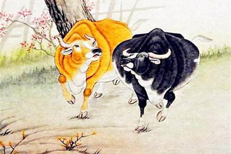 生肖每日运程水墨先生,水墨先生每天生肖运势