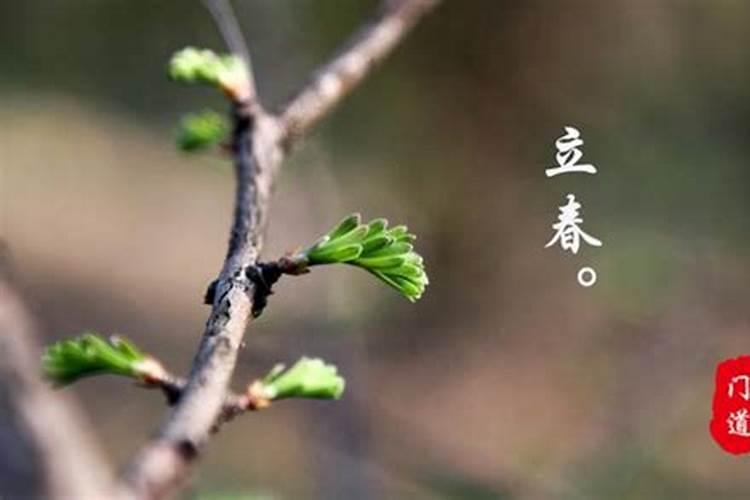 梦见自己的妈妈死了又活了了
