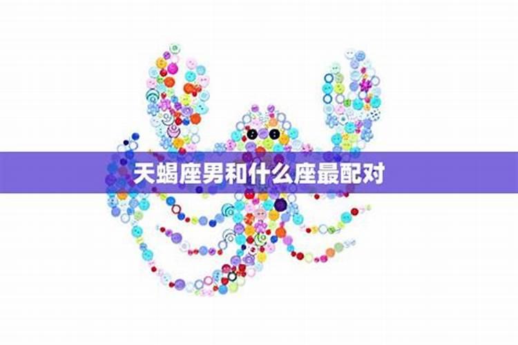 和天蝎座最配的是什么星座