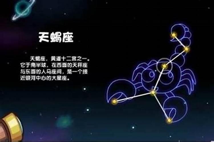 天蝎座男生和什么座最配