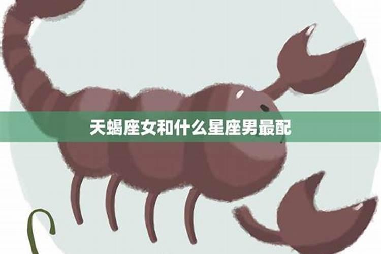 天蝎跟什么星座最配