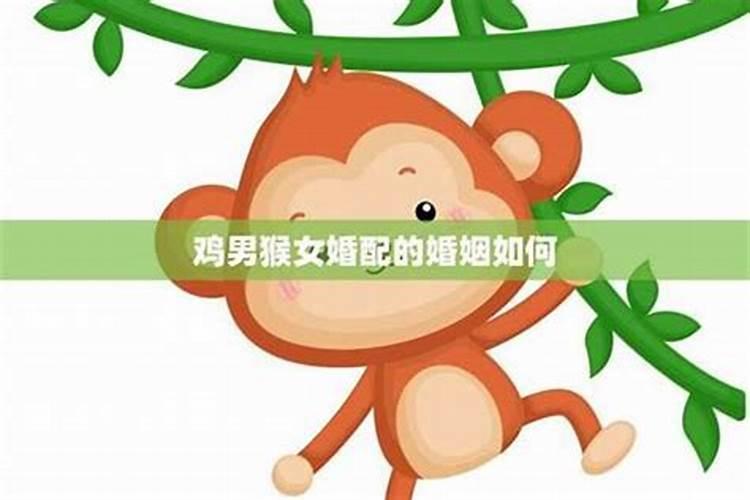 男属猴女属鸡婚姻好吗