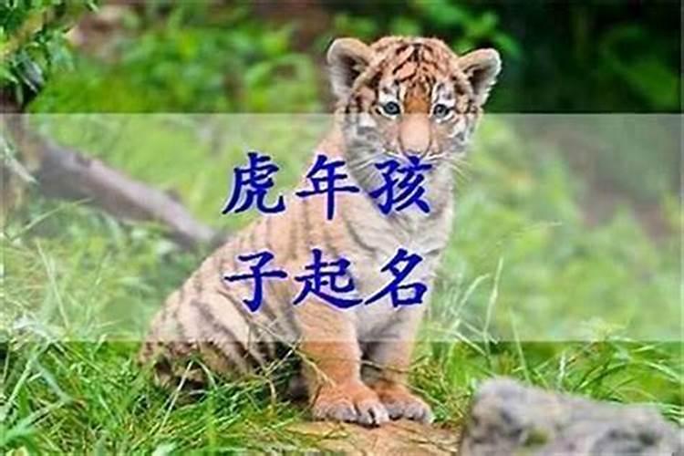 1961年属牛人在2024年每月运势