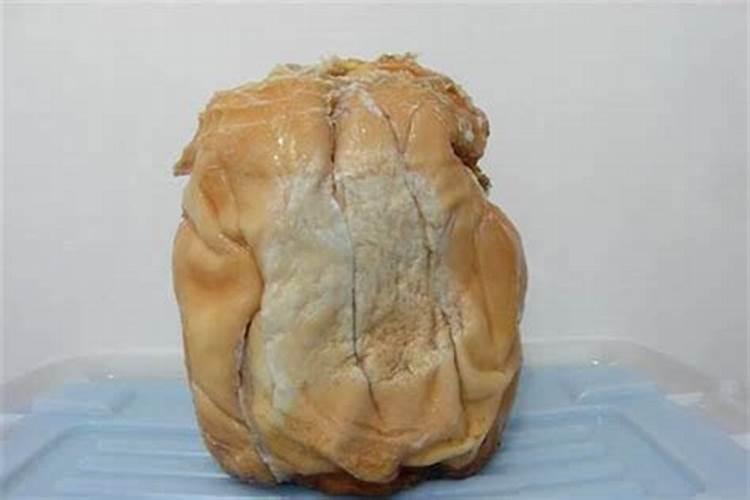 童子命是什么意思