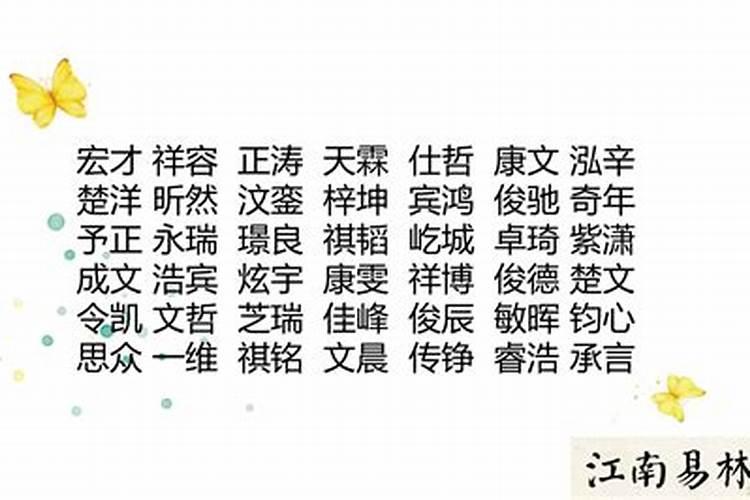 属狗人2025年每月运势及运程详解