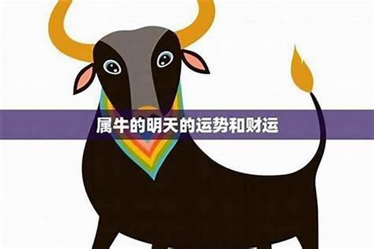 1988年十月初十午时出生的人是什么命运