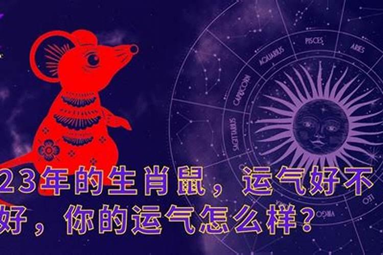 清明节的来历和风俗