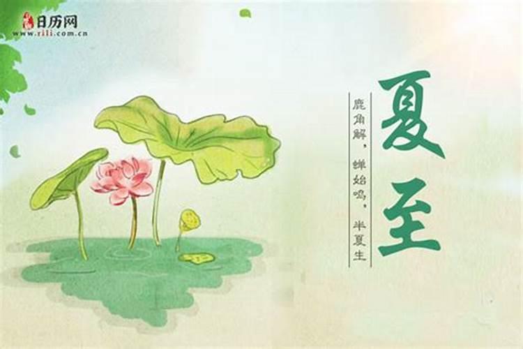 夏至节气的由来和风俗