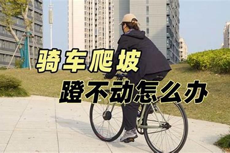 八字大运出现三合局会怎样 岁运三合局和三合局的位置？