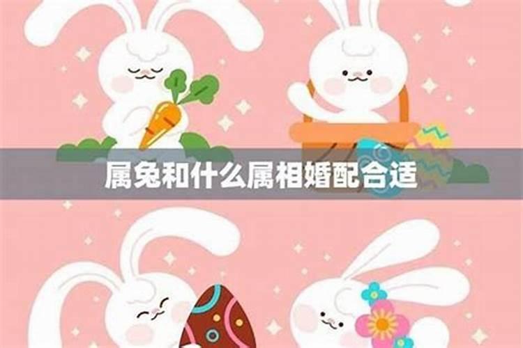 66年属马的2025年运势怎么样