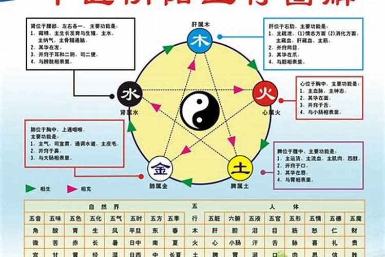 根据自己的出生年月时间,如何算五行？