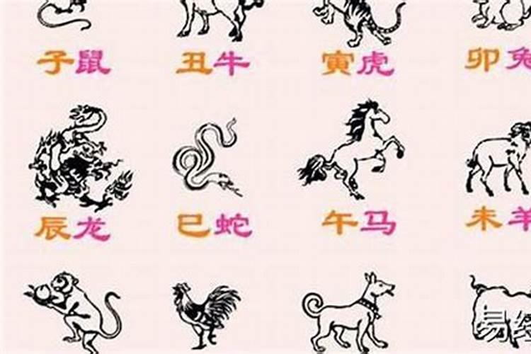 二十四节气所代表的生肖