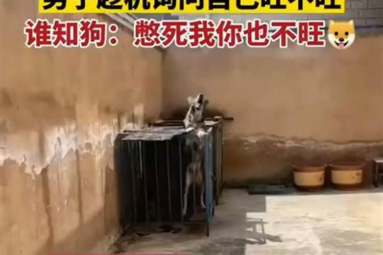 我1991年阴历8月25日出生,请问我今年运势怎么样？？？