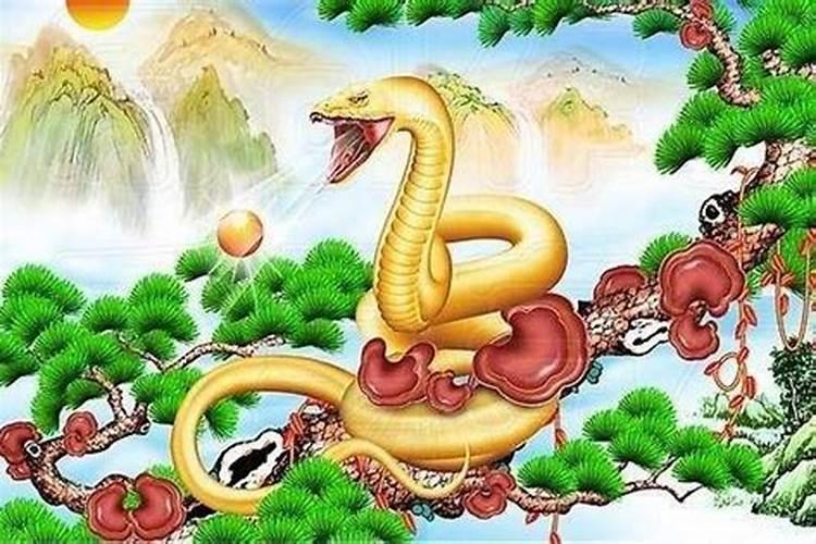闽南二月二龙抬头的风俗