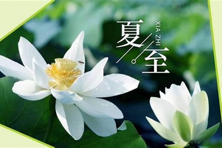 1969年属鸡的2025全年运势