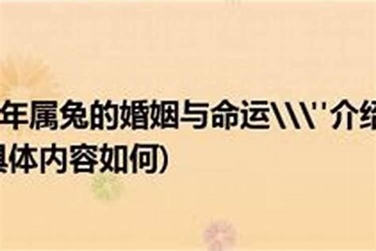 87年的兔是二婚命,为什么呢？