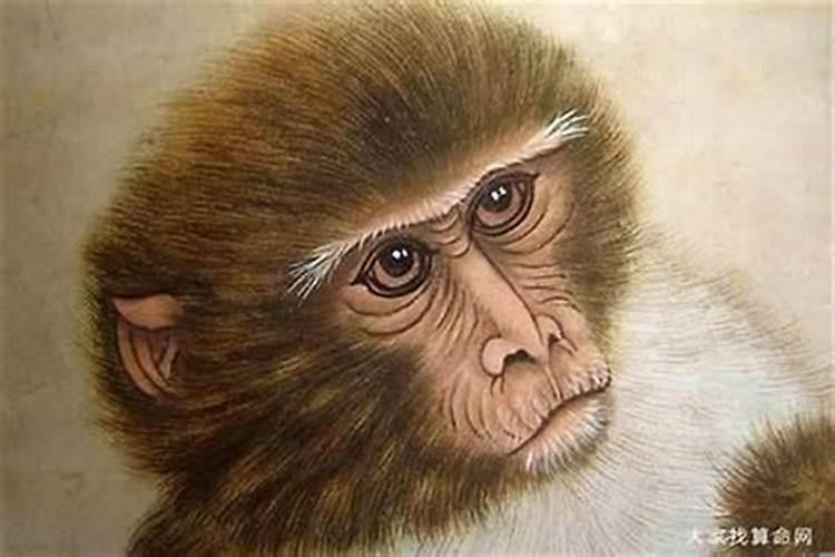 生肖猴1956年2025年运势如何 生肖猴1956年2025年全年运势