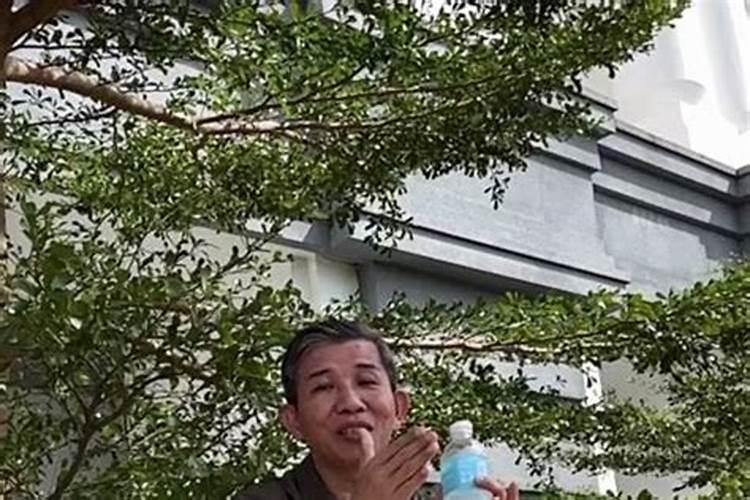 小年出生的女宝宝名字有哪些好听 小年生的宝宝名字大全