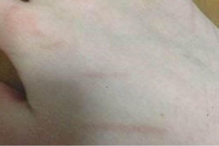 恳求那位大师给批下八字:癸亥年 癸亥月 壬寅日 庚子时 (女命)百度...