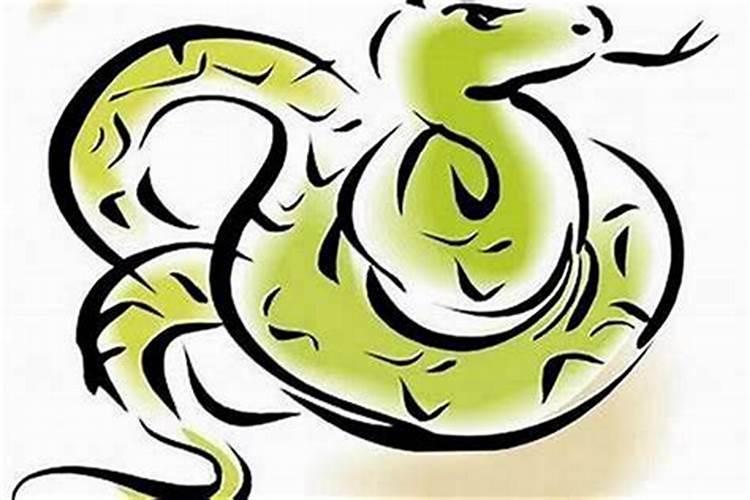 算婚姻:属蛇男和属猪女八字相合吗 婚姻好吗