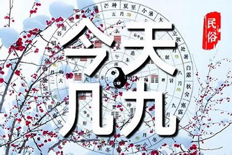 1988年出生的人五行是什么命 一九八八年生肖属龙的人命运