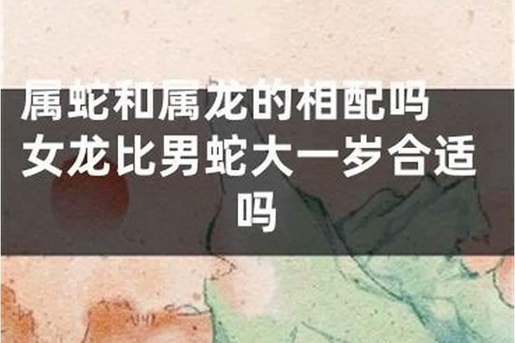 女龙男马为何说是绝配