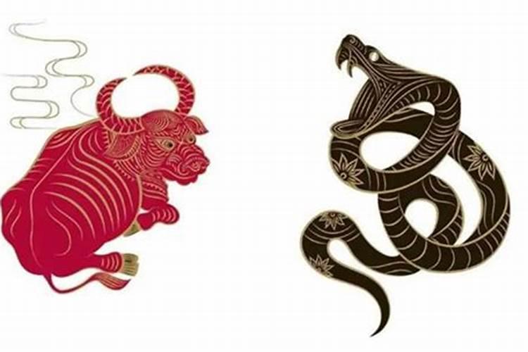 2025年5月26号生人婚姻和什么动物好