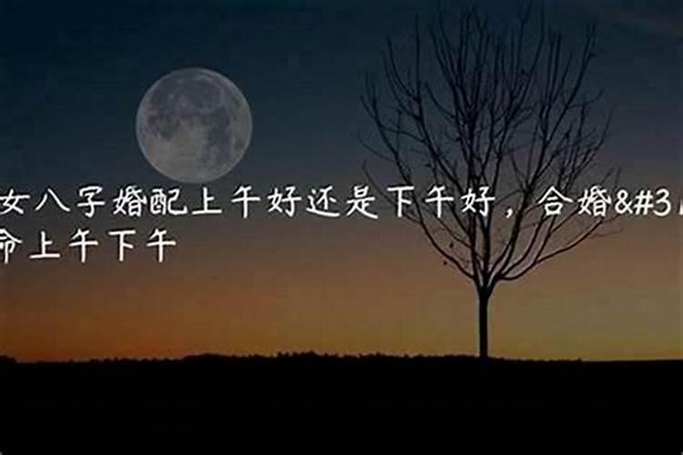 本命年应该注意什么