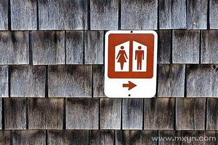 梦见厕所很多便便