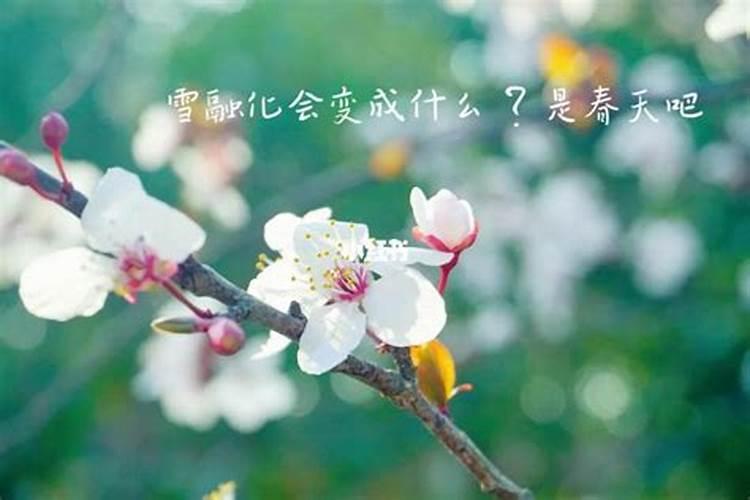 寒冬腊月你不在,下句是什么？