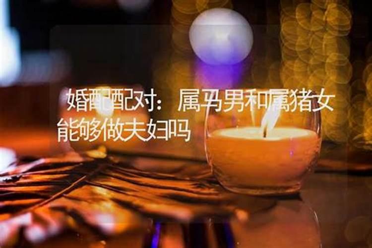 属猪犯太岁佩戴什么化解
