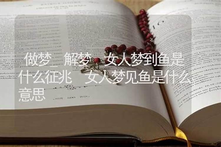 梦见摸鱼是什么预兆