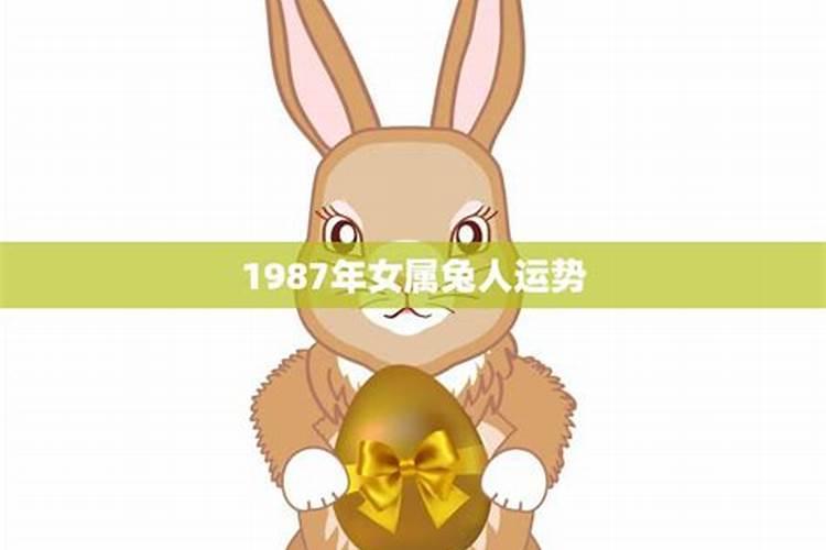 1987年属兔2025年的运势及运程如何