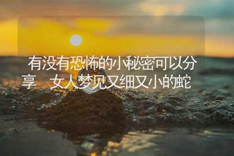 梦见很多小蛇有什么征兆 梦见很多小蛇好不好
