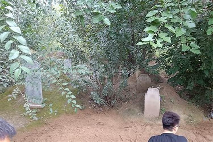 清明节不宜动土吗