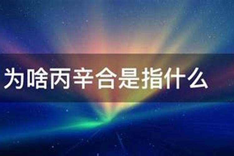丙辛合的八字