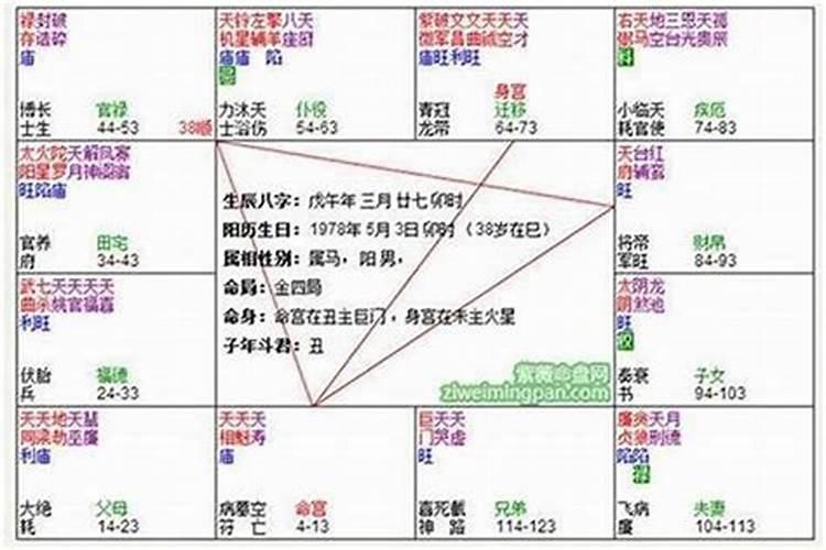 紫微八字排盘 八字十神强弱分析？