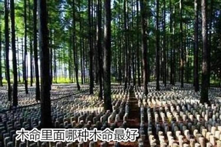 木土相克是真的吗？该如何化解？五行相克到底可不可信啊!我木命,女朋友...