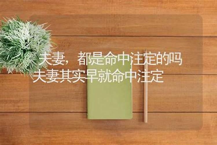 测试两人前世今生姻缘 出生年月看两人姻缘？